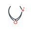 Feature icon